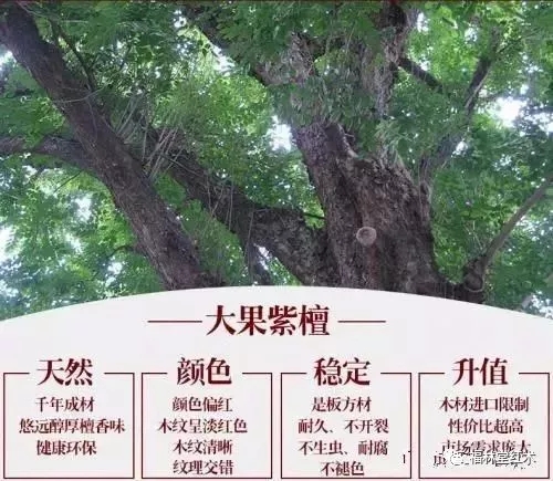 1619424598682905.jpg 20210426_155223_087.jpg